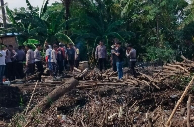 WhatsApp Image 2025-11-12 at 08.36.09