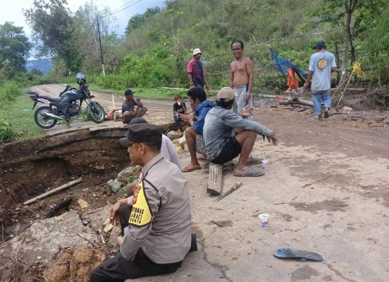 WhatsApp Image 2025-11-13 at 07.56.18