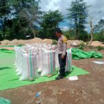 WhatsApp Image 2025-11-13 at 19.58.46