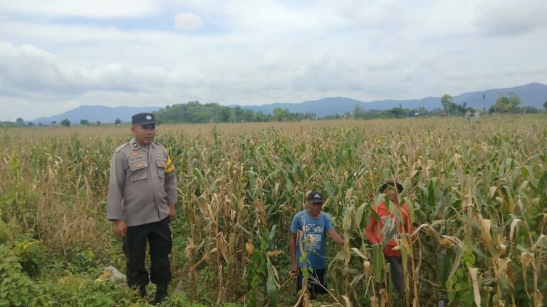 WhatsApp Image 2025-11-15 at 21.36.27