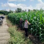 WhatsApp Image 2025-11-17 at 19.11.40