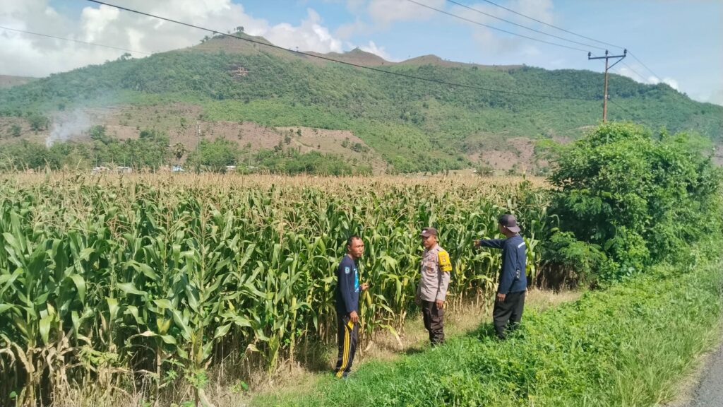 WhatsApp Image 2025-11-22 at 23.04.40 (1)