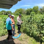 WhatsApp Image 2025-11-23 at 08.14.40