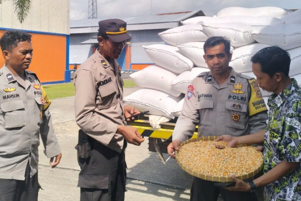 Jaga Ketahanan Pangan, Polri Kawal Penyerapan Jagung Petani di NTB