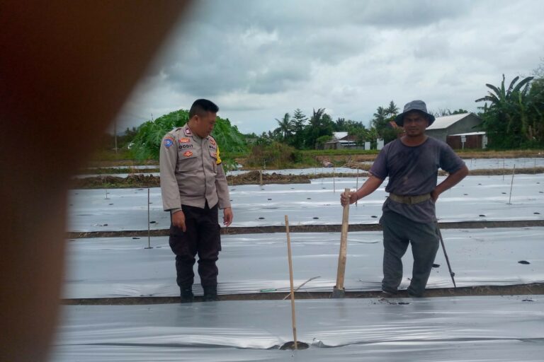 Aksi Nyata Bhabinkamtibmas Lombok Barat Dukung Ketahanan Pangan Nasional