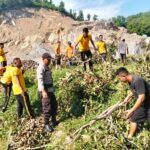 WhatsApp Image 2025-11-28 at 11.07.29