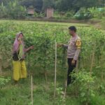 WhatsApp Image 2025-11-28 at 12.54.25