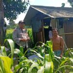 WhatsApp Image 2025-11-29 at 14.34.49_c0177756