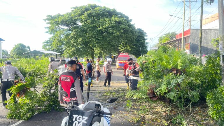 64a9a33d-eb4c-46a5-8eff-3fe3d77fe8df