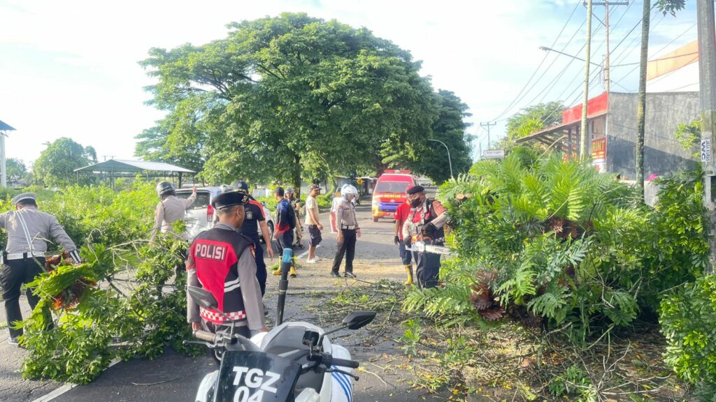 782acfaa-25e8-4ffe-aa07-068acf95ab57