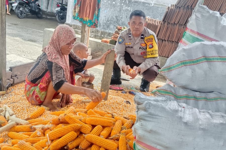Bhabinkamtibmas Lombok Barat Dukung Distribusi Jagung ke Bulog