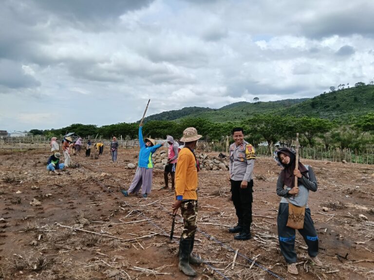 WhatsApp Image 2025-11-29 at 19.24.11