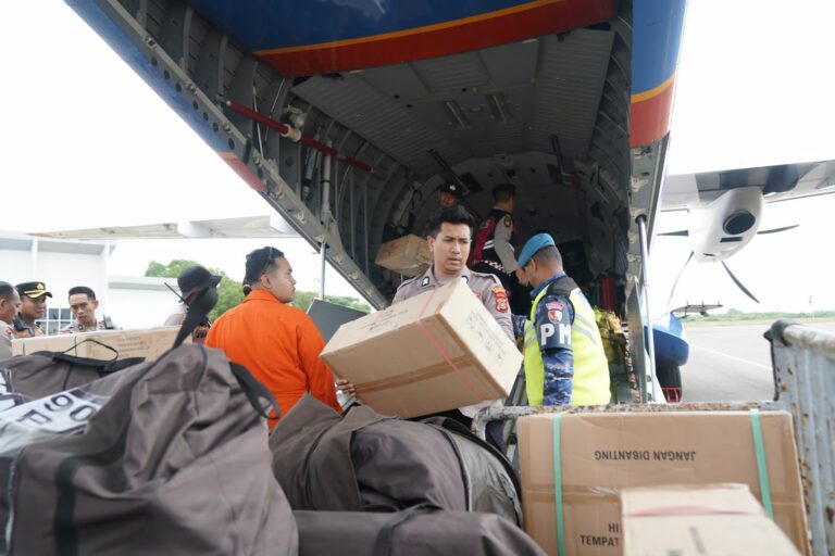 WhatsApp Image 2025-12-02 at 13.07.55