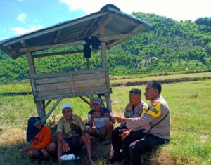 WhatsApp Image 2025-12-05 at 12.12.23