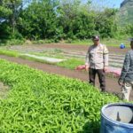 WhatsApp Image 2025-12-07 at 10.46.38