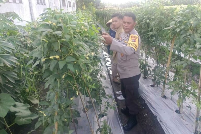 Kuatkan Ketahanan Pangan, P4S Lombok Barat Dorong Kompetensi Petani