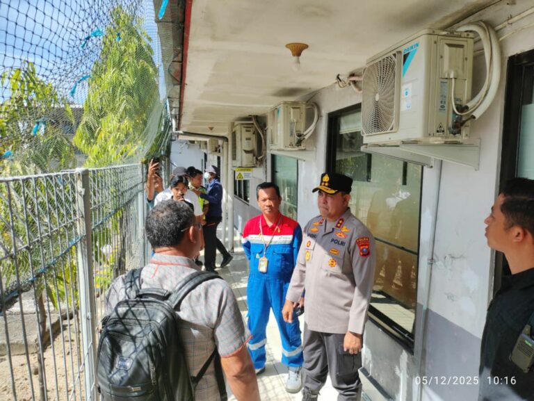 WhatsApp Image 2025-12-08 at 12.52.09