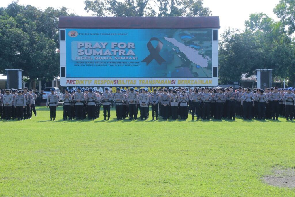 WhatsApp Image 2025-12-08 at 17.41.09