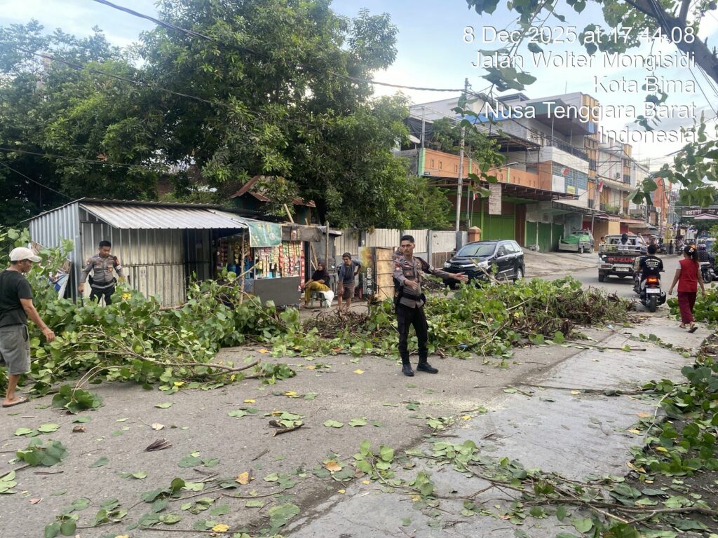 WhatsApp Image 2025-12-08 at 18.48.54