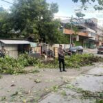 WhatsApp Image 2025-12-08 at 18.48.54