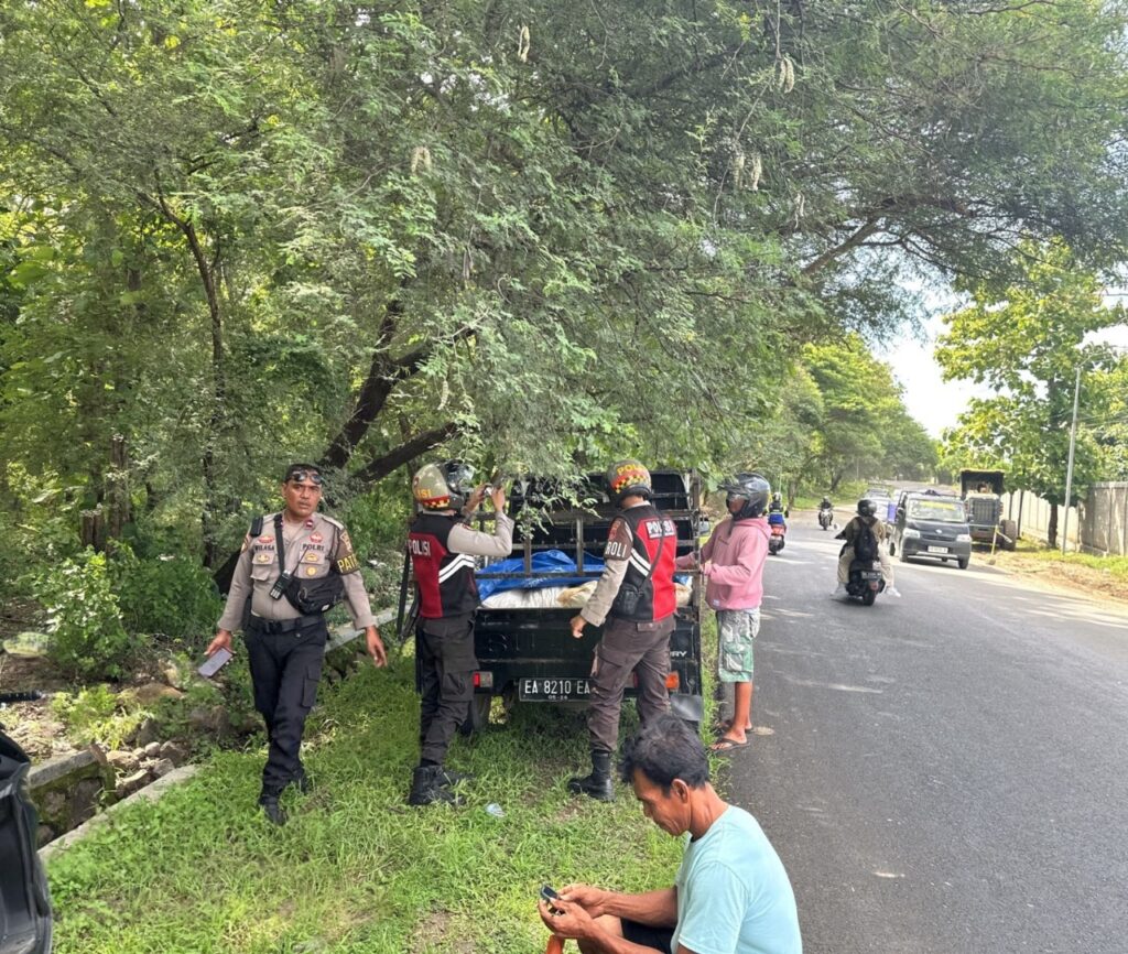 WhatsApp Image 2025-12-08 at 19.05.15 (1)