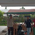 WhatsApp Image 2025-12-10 at 22.00.49