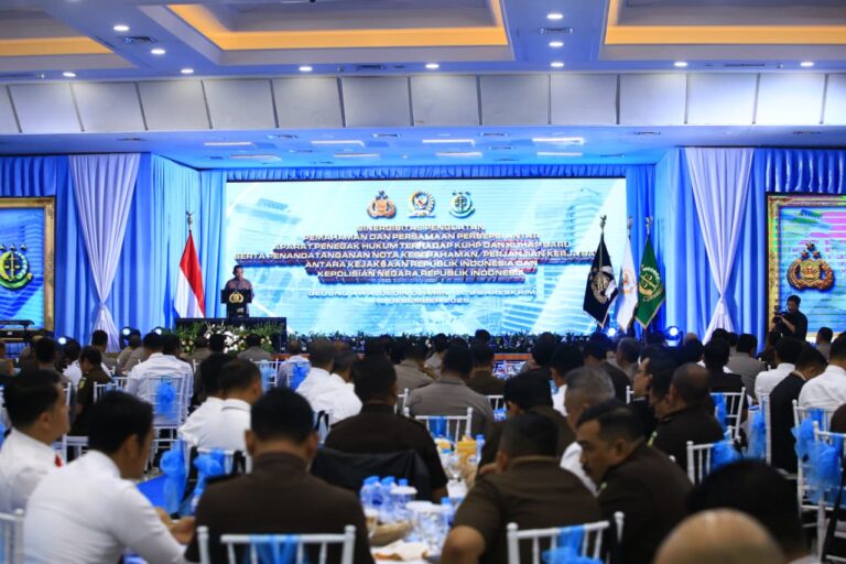 WhatsApp Image 2025-12-17 at 10.10.11