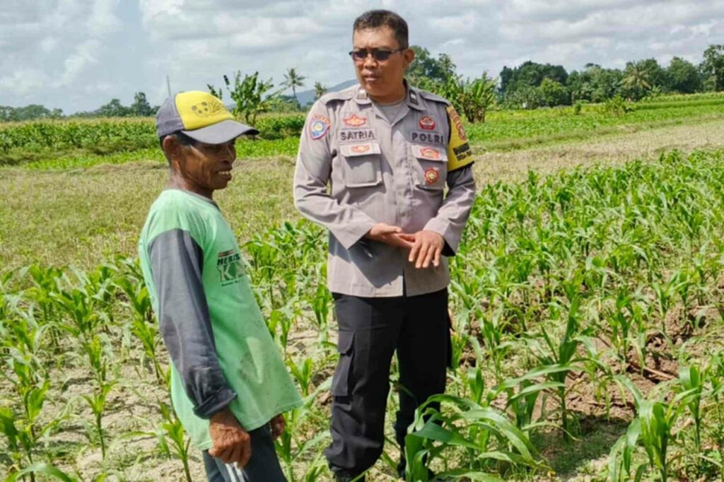 Polsek Labuapi Dukung Program Ketahanan Pangan