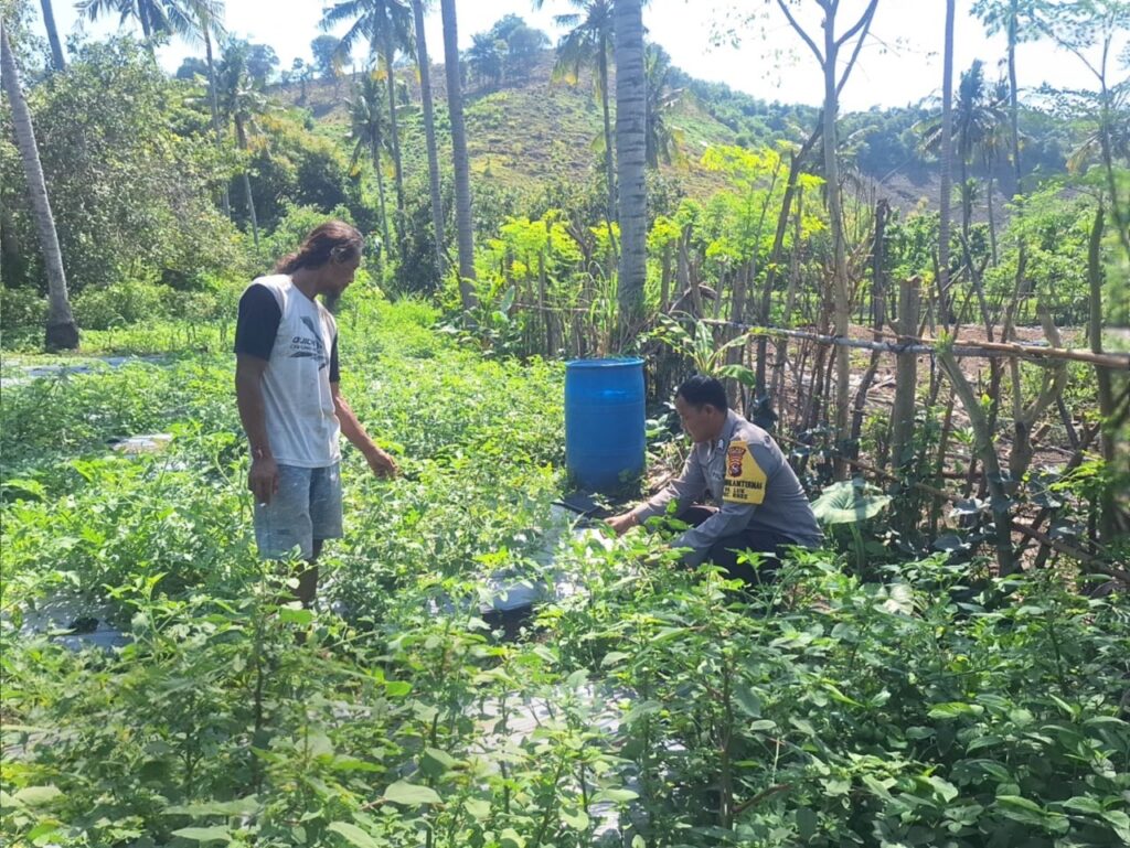 WhatsApp Image 2025-12-18 at 11.08.18 (1)