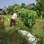 WhatsApp Image 2025-12-19 at 09.09.17 (1)